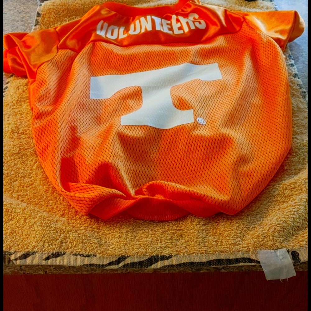 TENNESSEE  Small Dog JERSEY